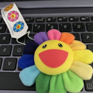 HOA CÀI KAIKAI KIKI 8CM