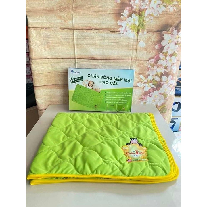 Chăn  cotton trần bông cao cấp cho bé đi học