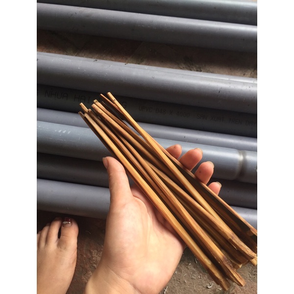 Hom ống bẫy lươn