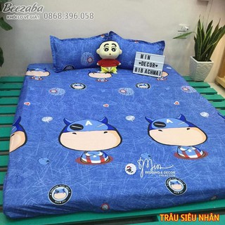 (Giá hủy diệt) Bộ Ga Gối Poly Cotton M6/M8 ( Được Chọn Mẫu)