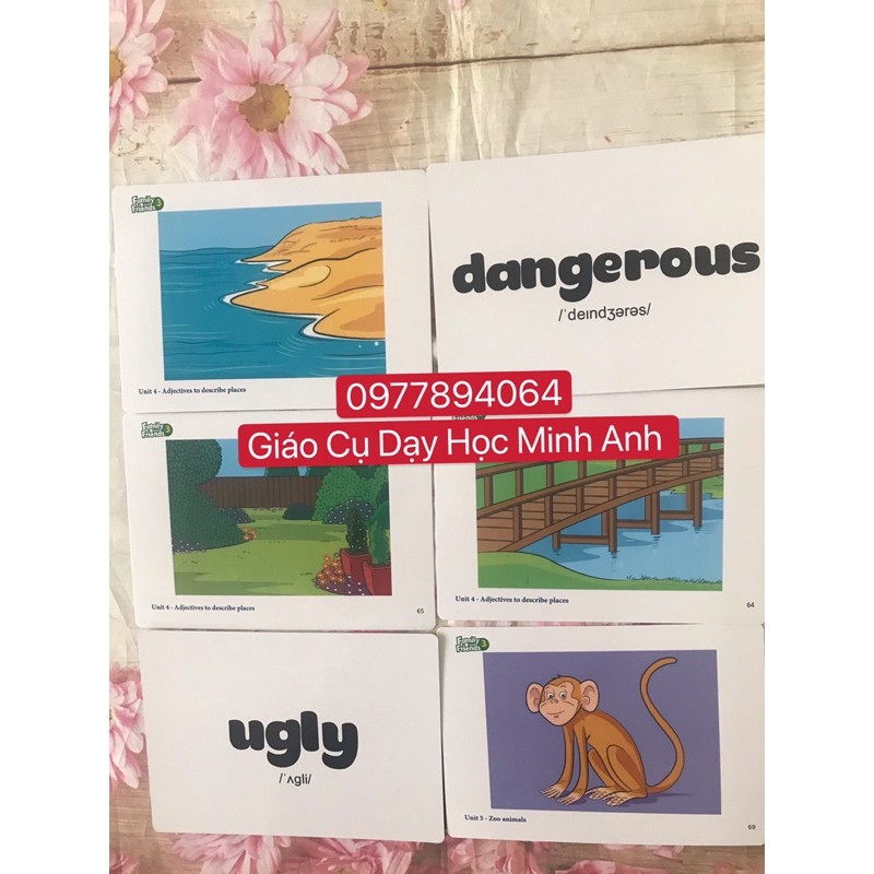 Flashcards  Family and Friends 3 phiên bản 1st ☘️ thiết  kế 2 mặt kèm phiên âm ☘️Chất liệu C300 cán bóng☘️