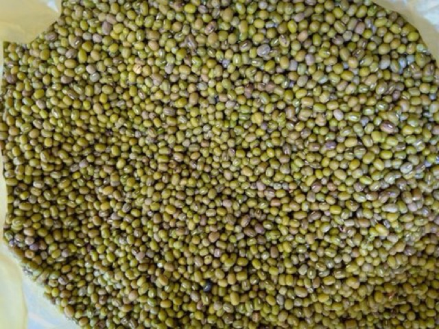 ĐẬU XANH SẼ HẠT NHỎ, ĐẬU XANH MỠ | BigBuy360 - bigbuy360.vn