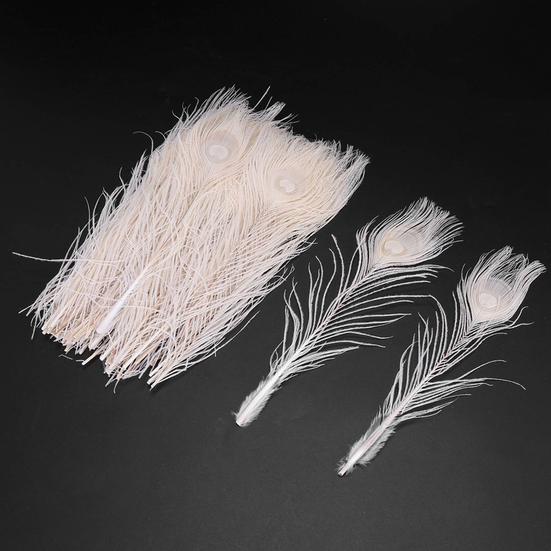 Bộ 50 Lông Công Trắng Tự Nhiên 10-12 Inches Dùng Trang Trí Đám Cưới