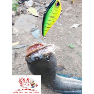 Mồi giả lure Lóc V65 Rất hiệu quả