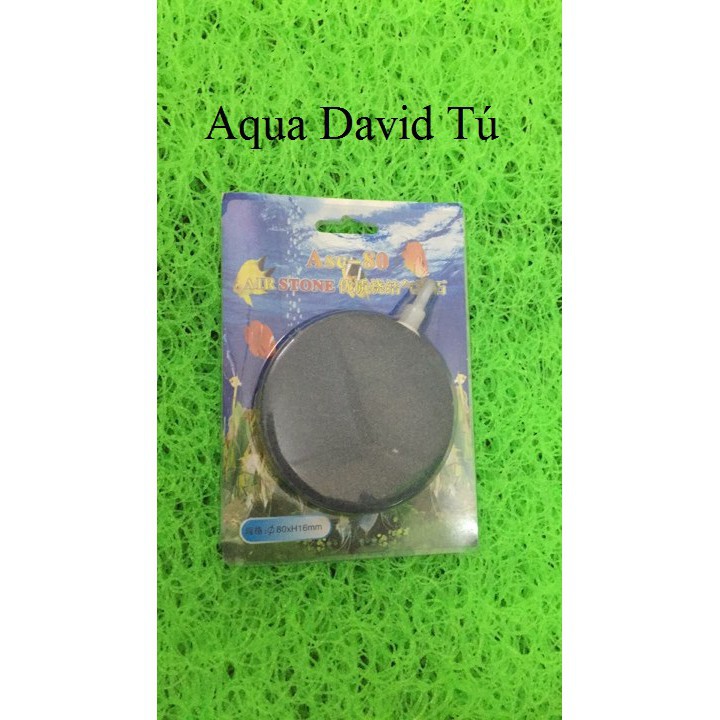 Quả Sủi Đĩa Dành cho Bể Cá Cảnh