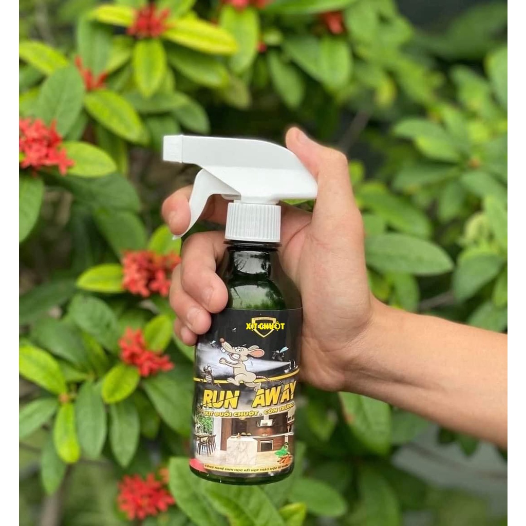 Xịt đuổi chuột Run Away - an toàn - Xua đuổi chuột, gián, côn trùng ...chỉ sau 1 lần xịt