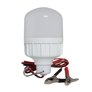 Bóng Đèn LED Kẹp Bình Ắc Quy 12V - 24V DC 12W Rạng Đông, ChipLED Samsung
