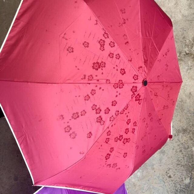 Dù che mưa nở hoa khi gặp nước [mẹ và con]