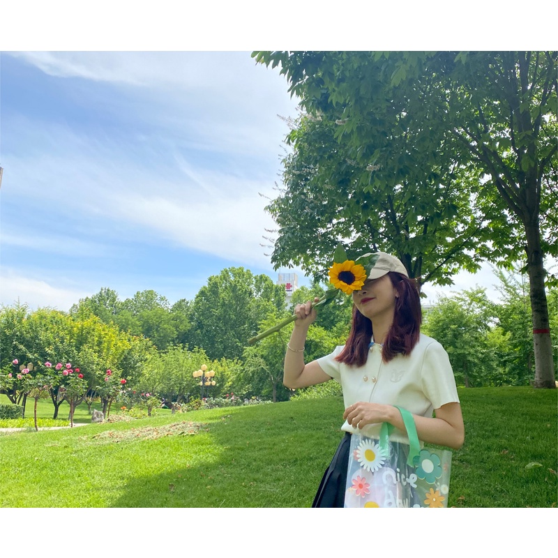 Túi Xách  Pvc Trong Suốt Kháng Nước Làm Quà