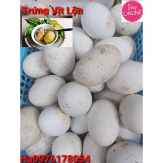 Trứng Vịt Lộn ( 10 Quả ) Có Chín Và Sống