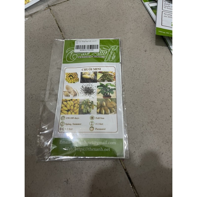 Hạt giống chuối mini - 1 gói