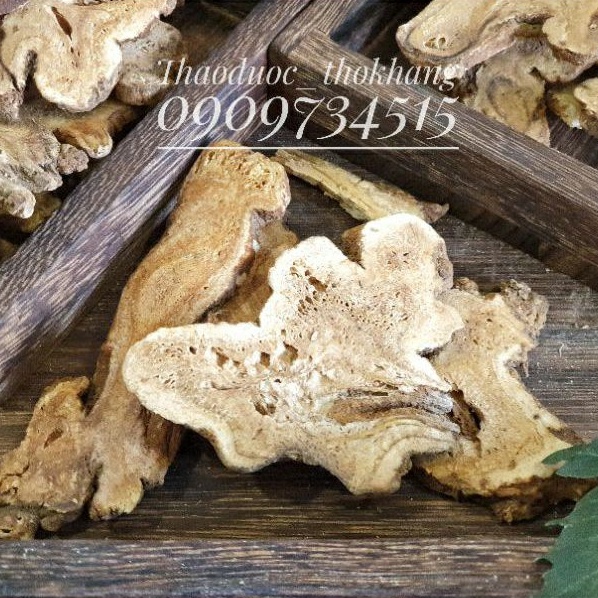 Bạch truật chính phẩm size to loại 1