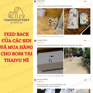 Sữa KMR cho mèo con, mèo bầu - Thay thế sữa mẹ bổ sung dinh dưỡng