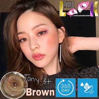 Lens Kính Áp Tròng Tony 3T Brown
