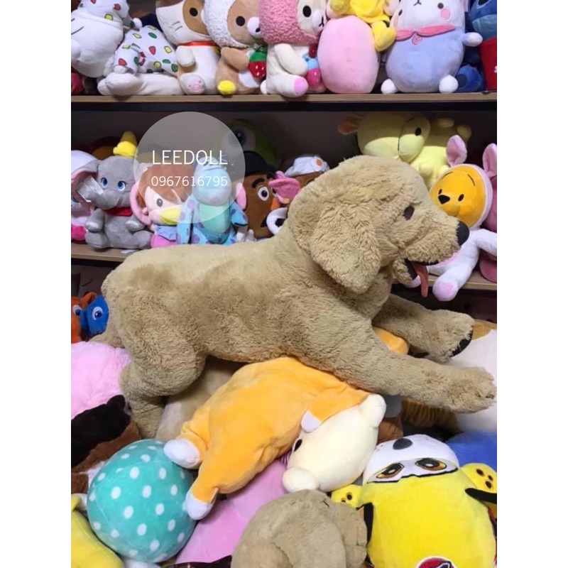 CHÓ BÔNG IKEA GOSIG GOLDEN