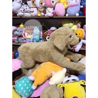CHÓ BÔNG IKEA GOSIG GOLDEN