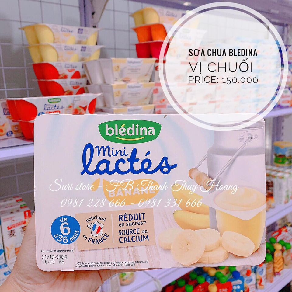 Sữa chua Bledina
