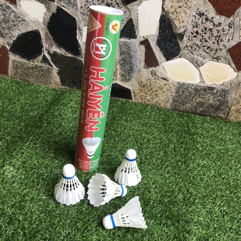 Cầu Lông Hải Yến Loại Thường Camshop