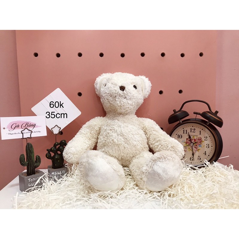 Gấu Si Teddy Úc Mỹ. Đã qua xử lí sạch sẽ