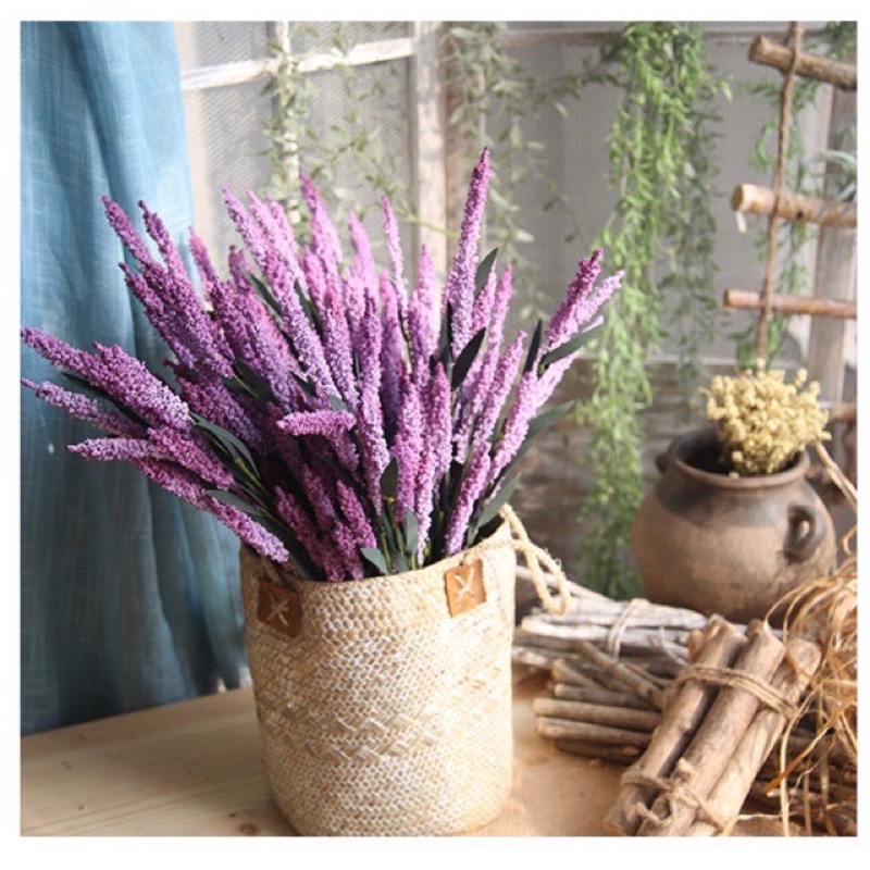 Cành hoa Lavender -oải hương siêu đẹp