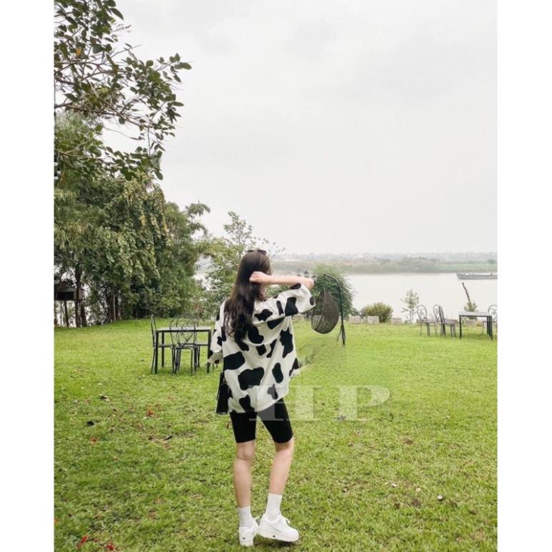 Sét áo bò sữa + quần legging lửng