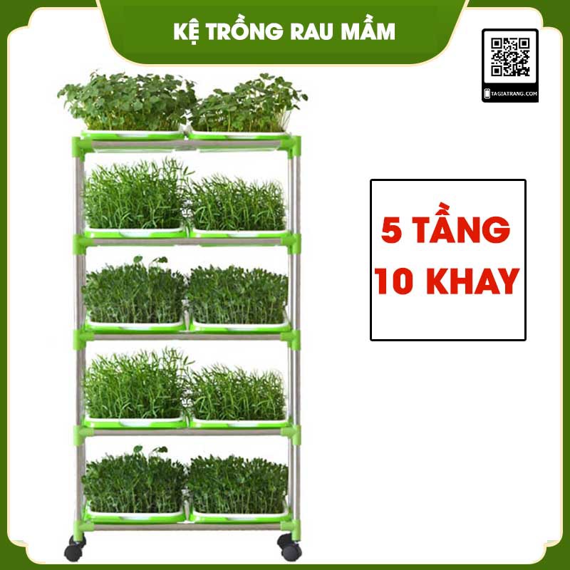 Kệ khay trồng rau mầm thủy canh chuyên dụng 2, 3, 4, 5, 6 tầng