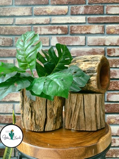 Chậu gỗ khúc cây