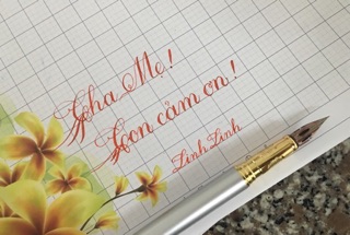 Mực Pelikan