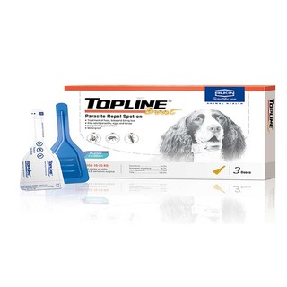 Nhỏ gáy topline alkin