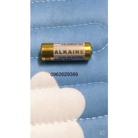Pin điều khiển loa trợ giảng, loa bẫy chim