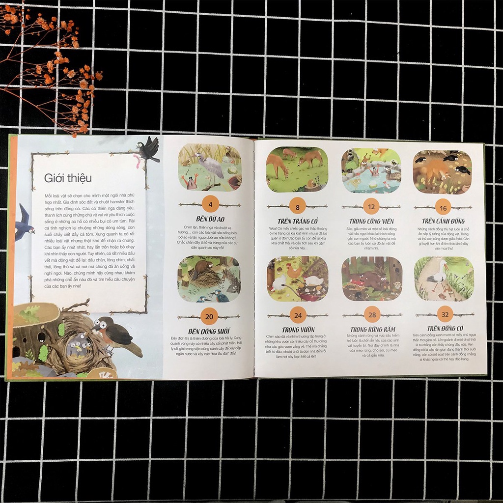 Sách - Hải Ly &quot;Giải Quyết Nỗi Buồn&quot; Ở Đâu? - Dấu vết để lại của động vật