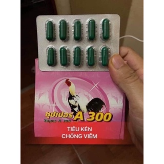Tiêu kén gà đá, tiêu kén a300