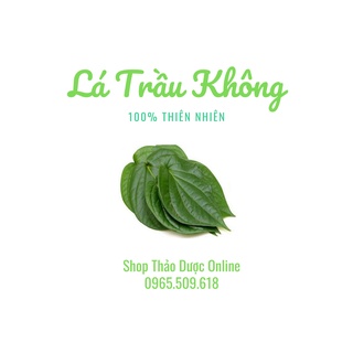 Thảo dược xông, rửa cho phụ nữ sau sinh