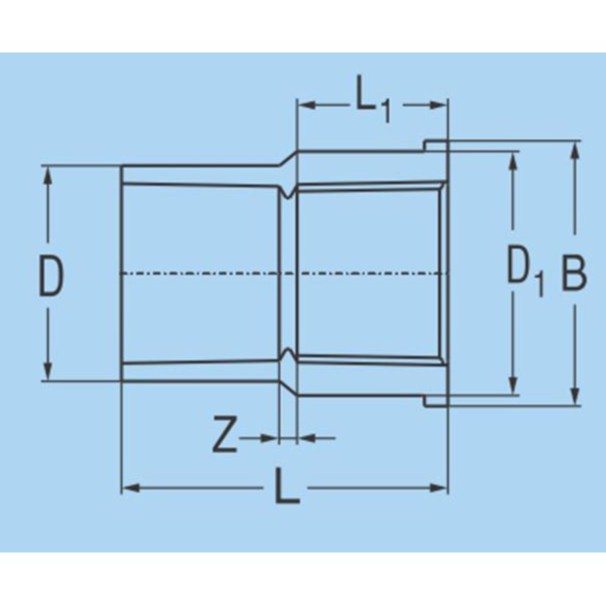 Nối Ren trong 21 nhựa PVC Bình Minh
