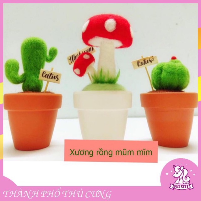 [LEN CHỌC CÓ HƯỚNG DẪN] BỘ KIT XƯƠNG RỒNG MŨM MĨM