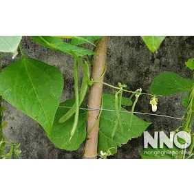 200M dây kẽm 1li5 làm giàn leo trồng cây, quấn buộc hàng hóa, đồ dùng gia đình. làm vườn