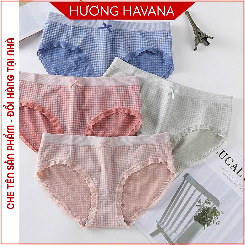 Quần lót cotton HAVANA kẻ caro freesize 40-55kg mã FLQ49