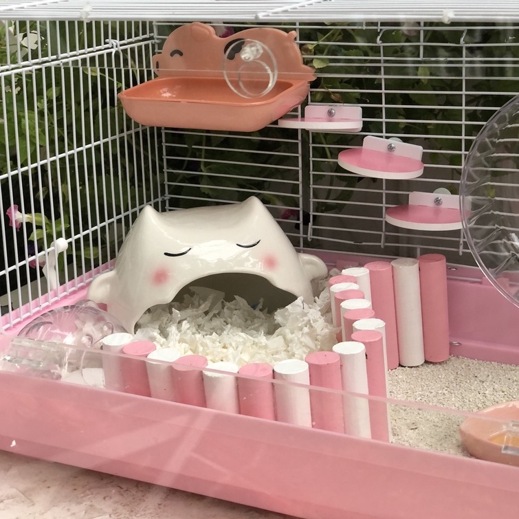 Thang uốn gỗ CAO 8CM, trang trí chuồng hamster, sóc, bọ, nhím, thú nhỏ