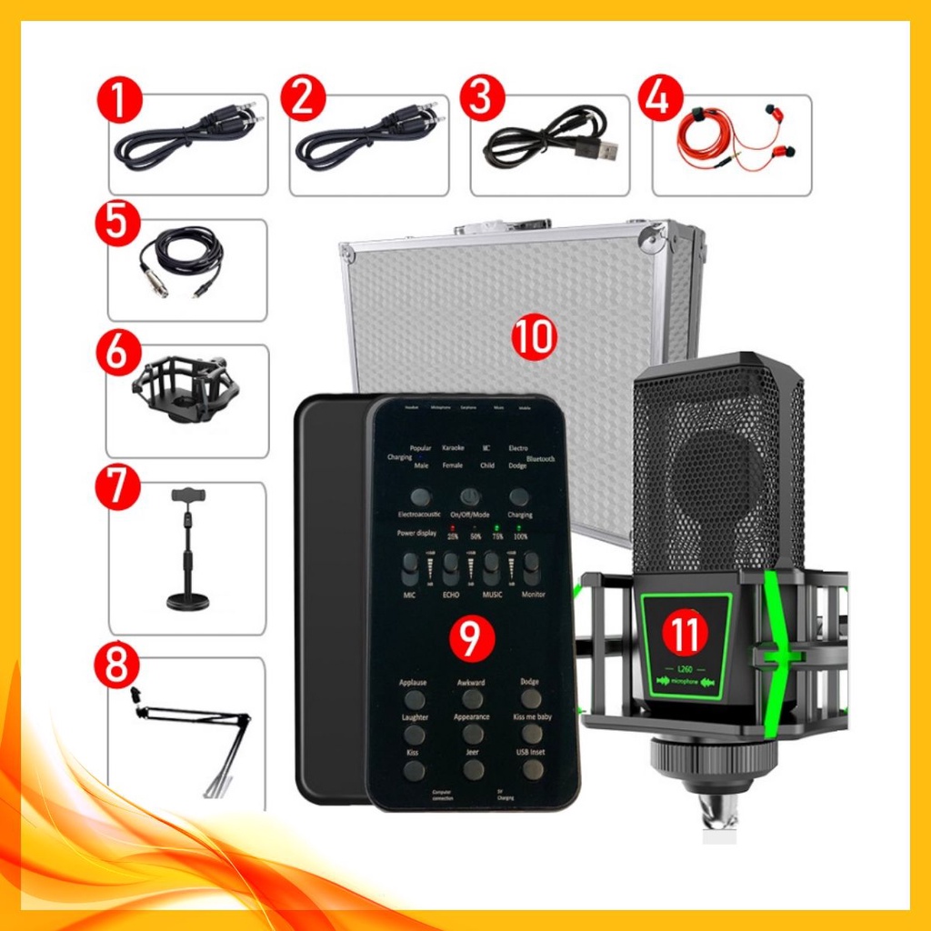 Combo bộ hát Karaoke - Livestream thu âm Mic BGN-L260 + Sound card E6 + kẹp bàn