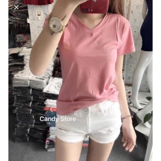 Áo thun nữ cổ tim nhiều màu chất thun cotton