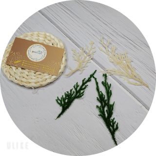 Hoa khô càu tóc cô dâu - Rong đá - 15k/nhánh