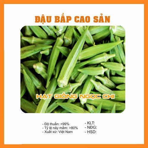 Hạt Giống Đậu Bắp Xanh Cao Sản - 10Gr