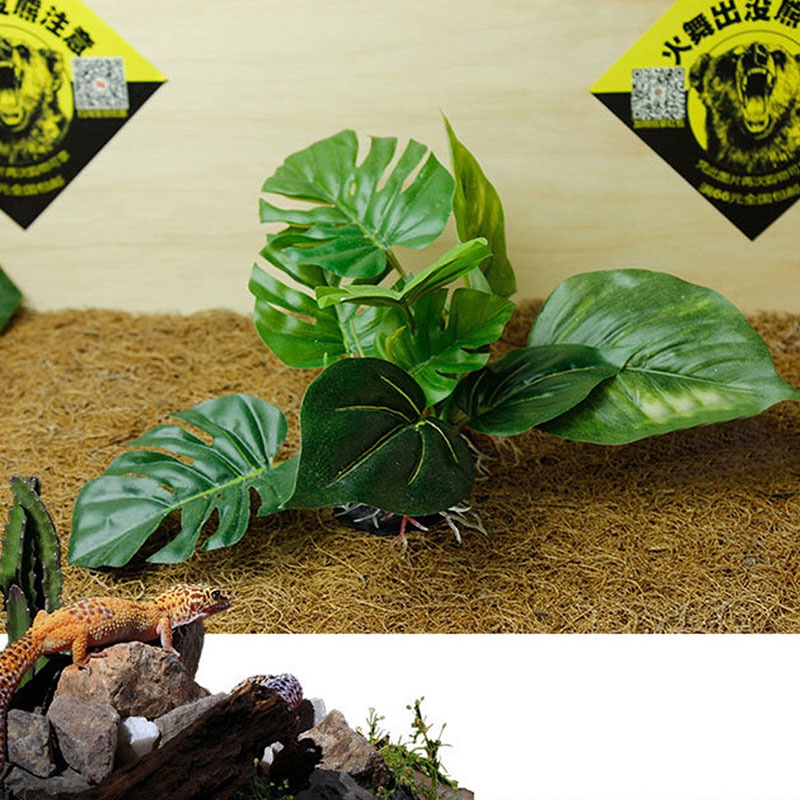 Bể Cá Giả Bằng Nhựa Màu Xanh Lá Cây Sống Động Như Thật