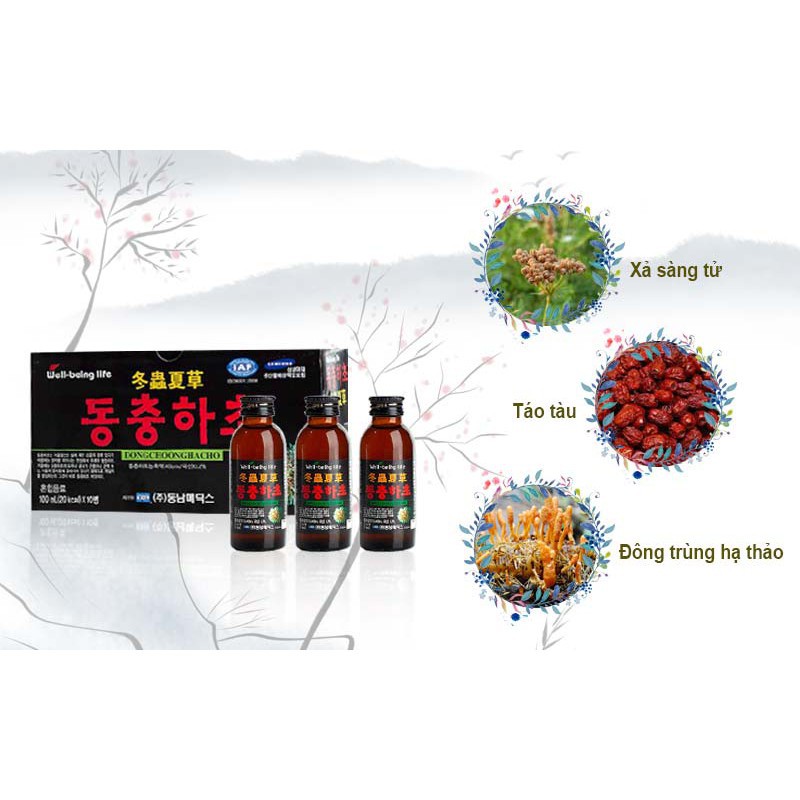 Nước Đông Trùng Hạ Thảo Hàn Quốc, Hộp 10 chai*100ml | BigBuy360 - bigbuy360.vn