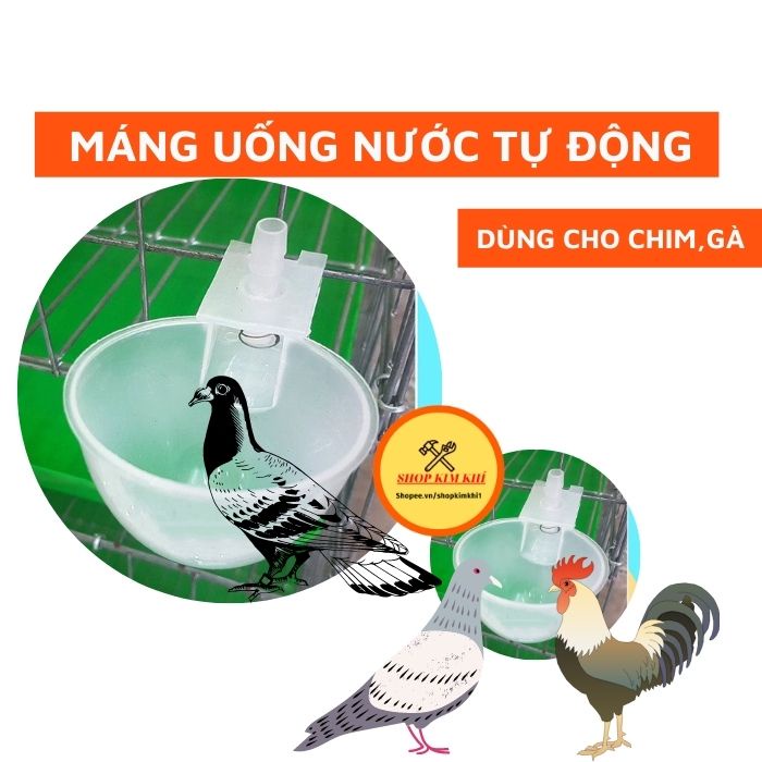 Máng uống nước tự động cho chim bồ câu, gà chất liệu nhựa an toàn hàng loại 1