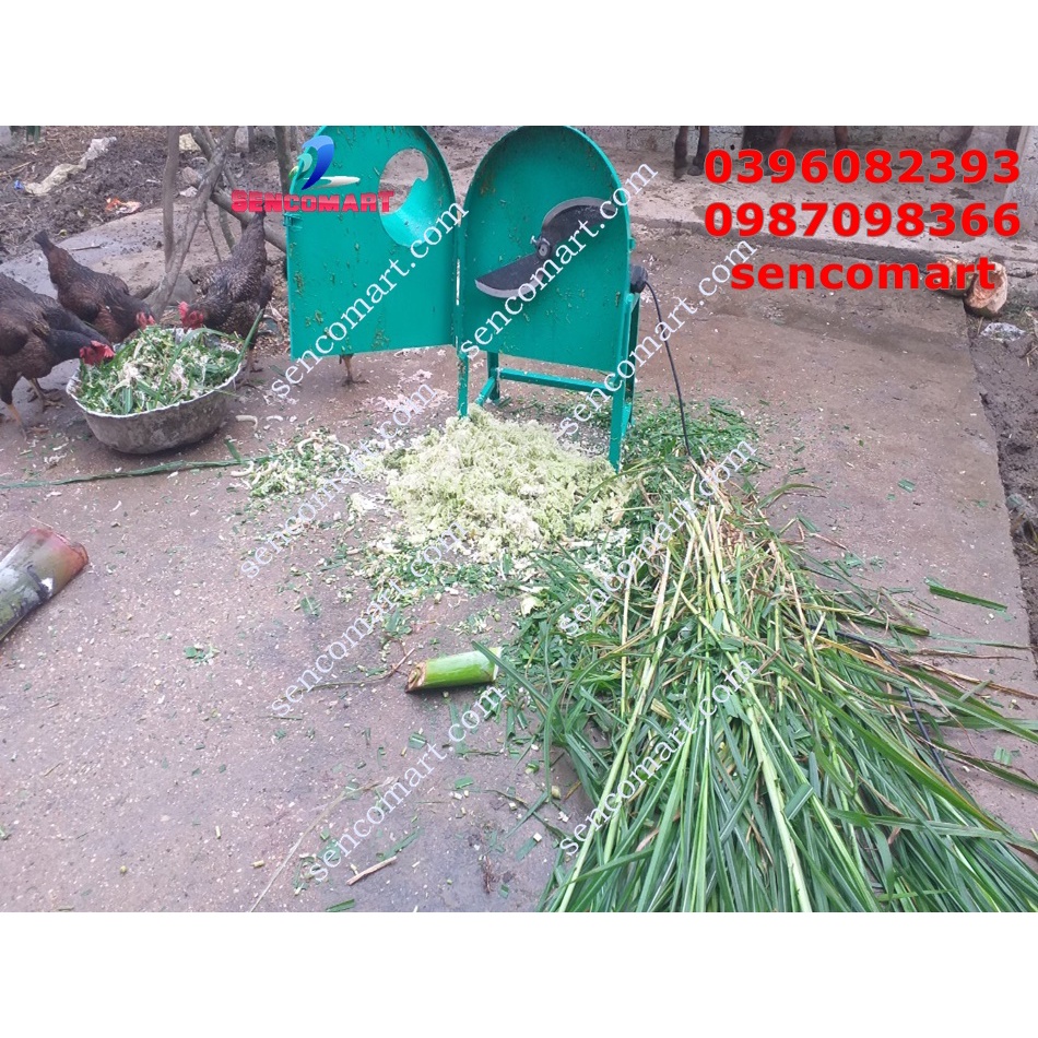 Máy xay cây chuối xay cỏ voi cho trâu,bò,dê,gà