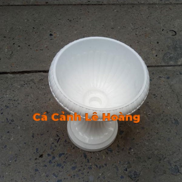 Chậu nhựa trồng cây dáng Ly - Chậu cao 38cm đường kính 28cm