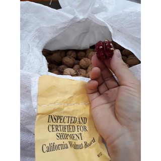 [giảm giá 30%] (300gr)   NHÂN ÓC CHÓ ĐỎ MỸ