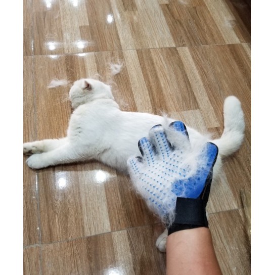 Găng tay trái, Găng tay massage, chải lông, lấy lông rụng cho chó mèo