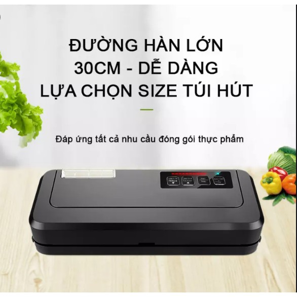 Máy hút chân không P290 - không kén túi hút hàn tự động